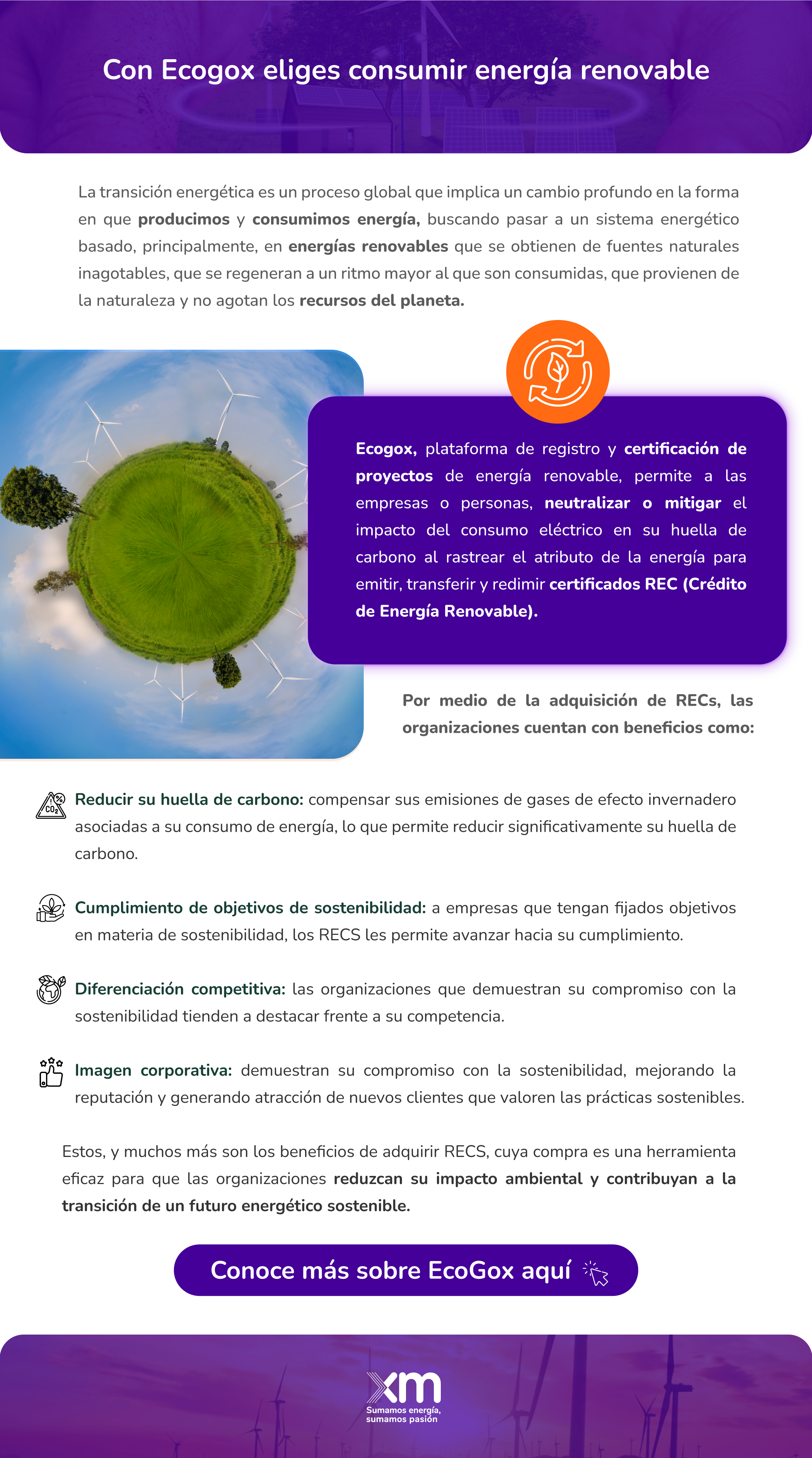 https://www.ecogox.com/