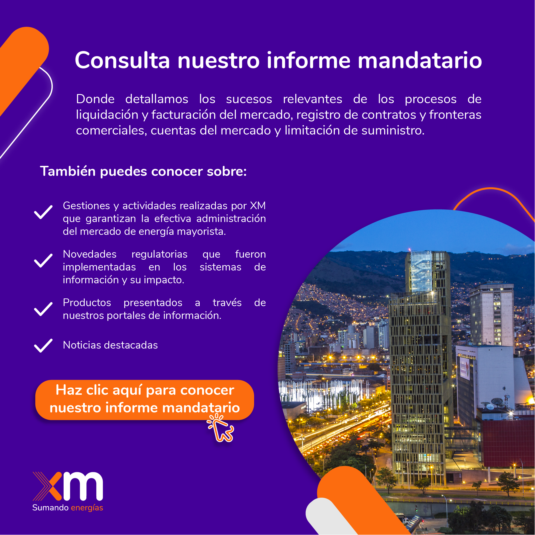 Consulta informe mandatario