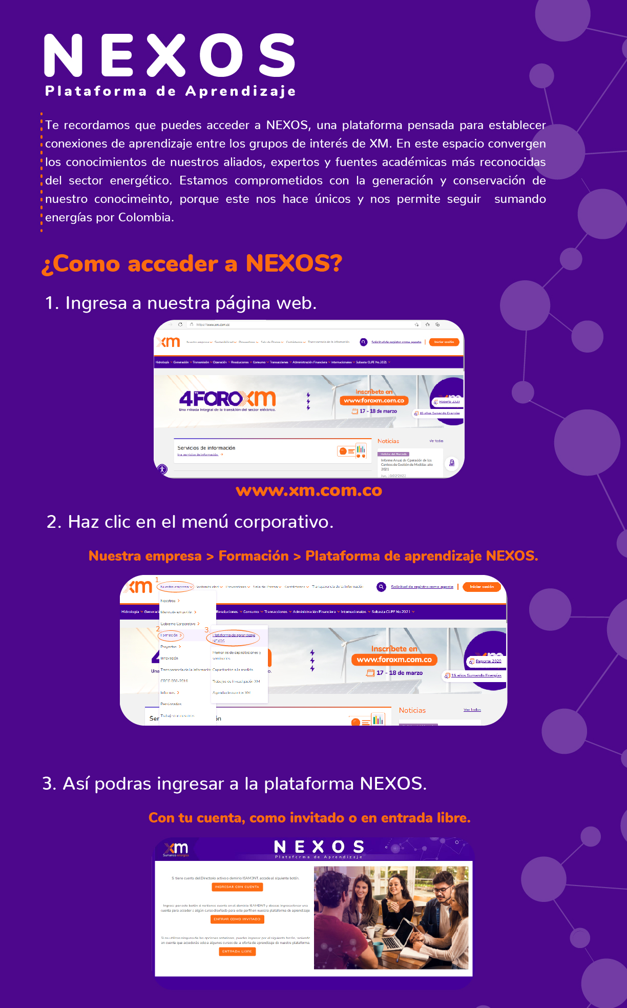 nexos 