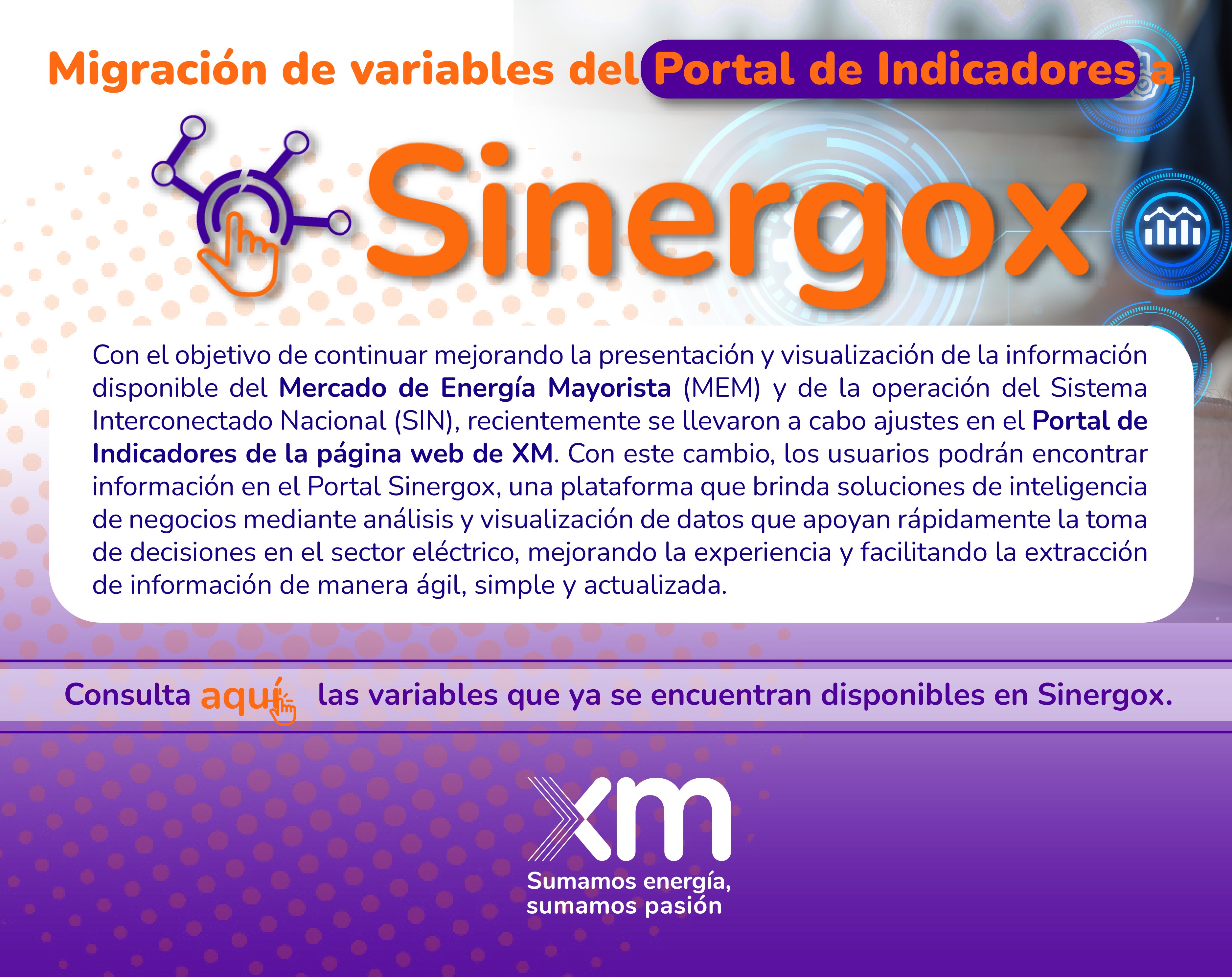 Sinergox 