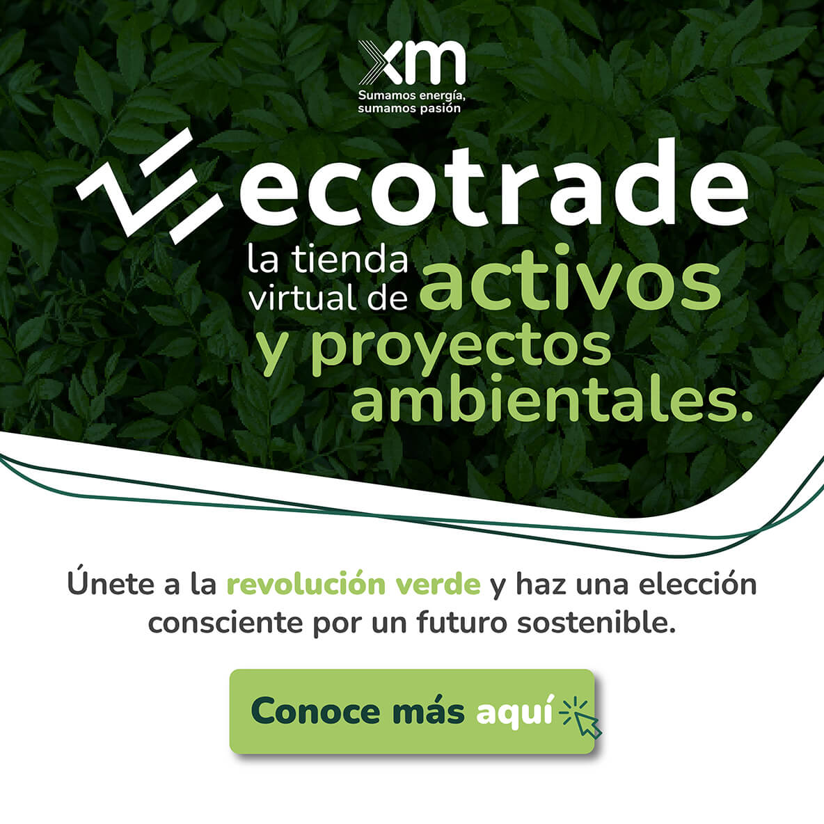 Imagen de Ecotrade, la nueva tienda de activos y proyectos ambientales