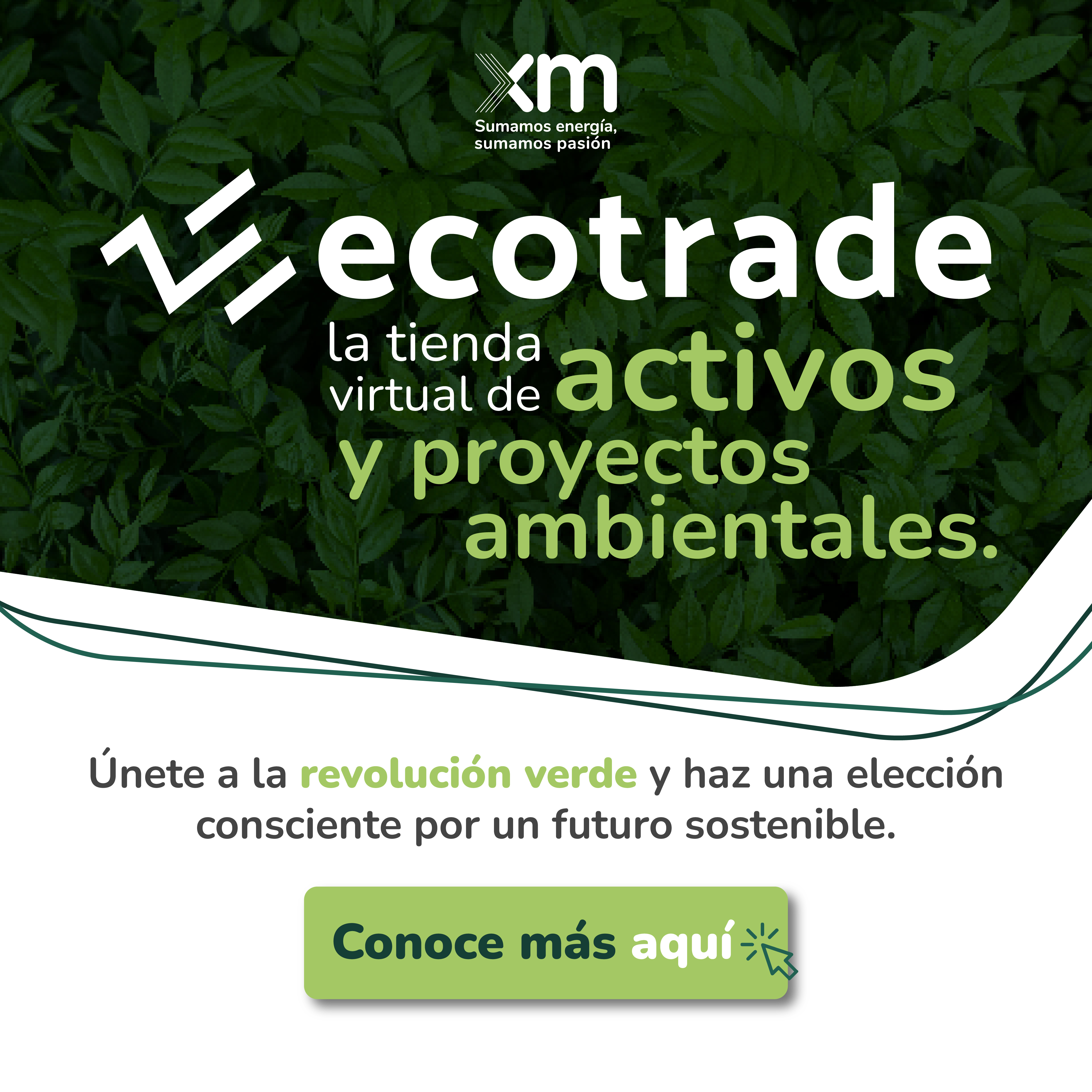 Ecotrade, la nueva tienda de activos y proyectos ambientales
