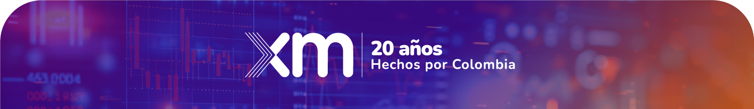 Footer 20 años