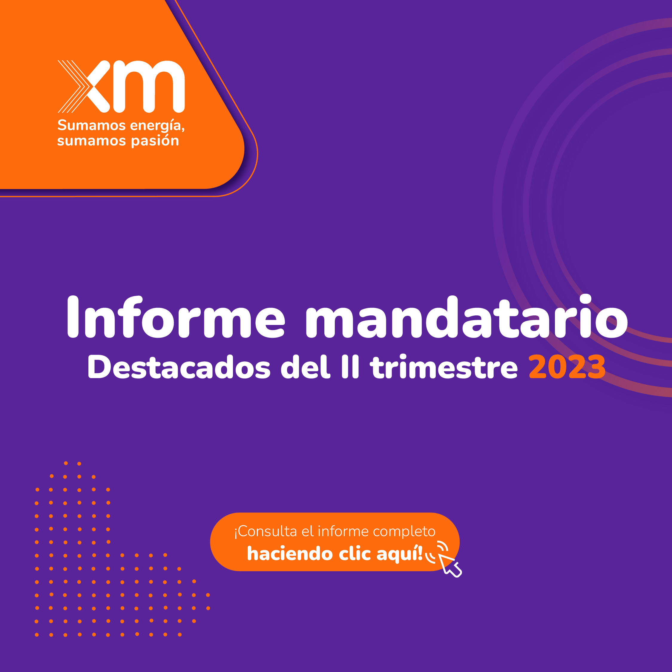 Informe mandatario 