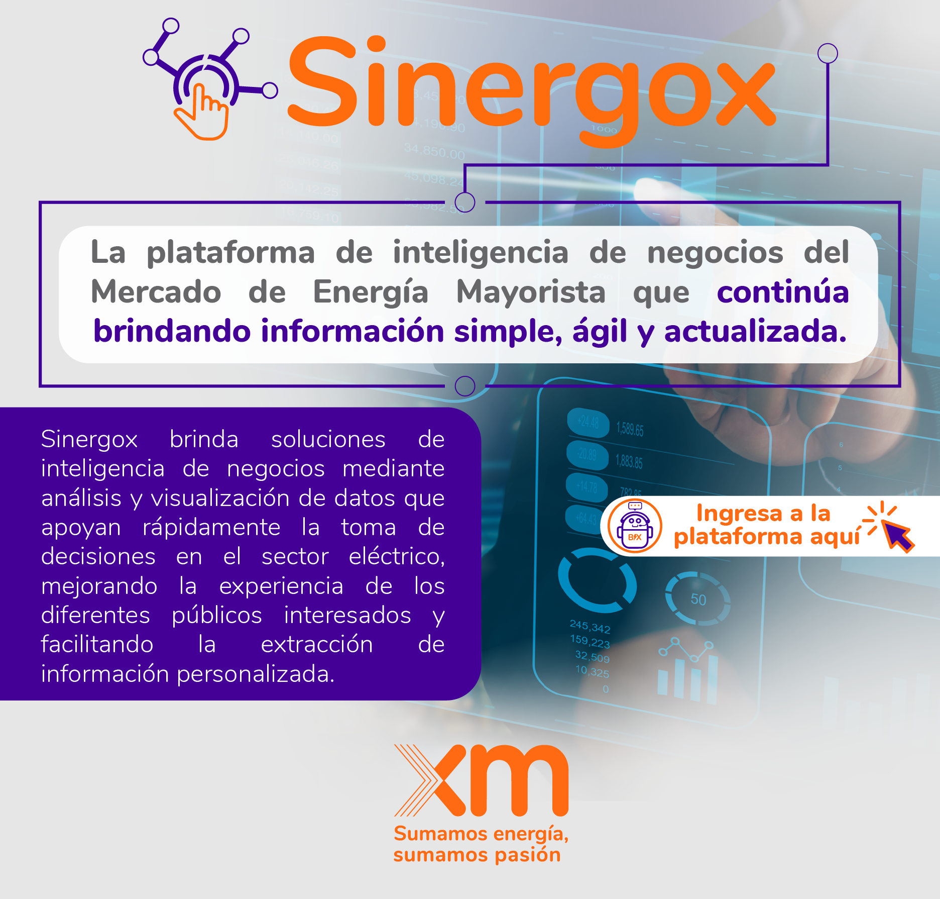Sinergox 