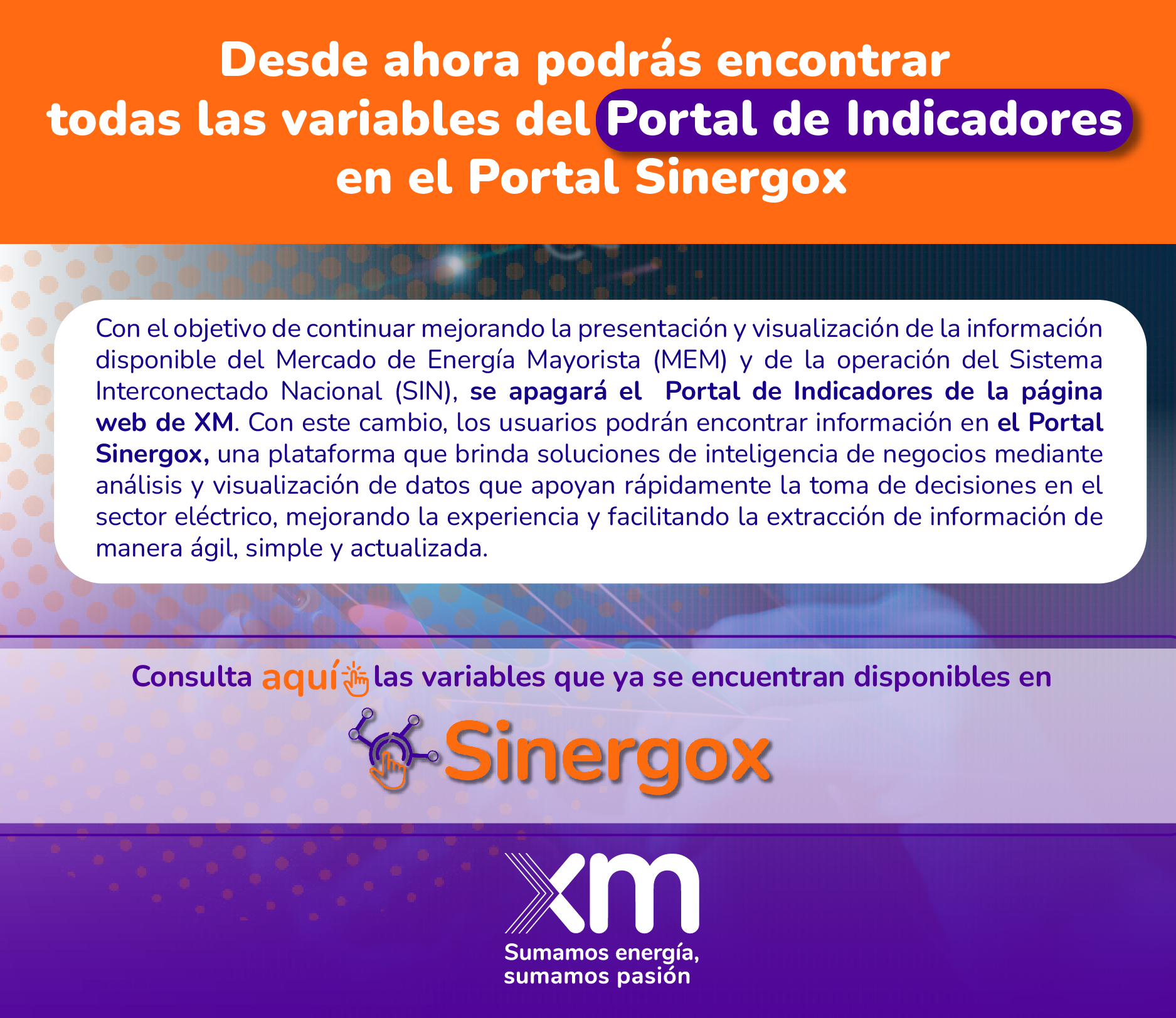 Portal de indicadores Sinergox 