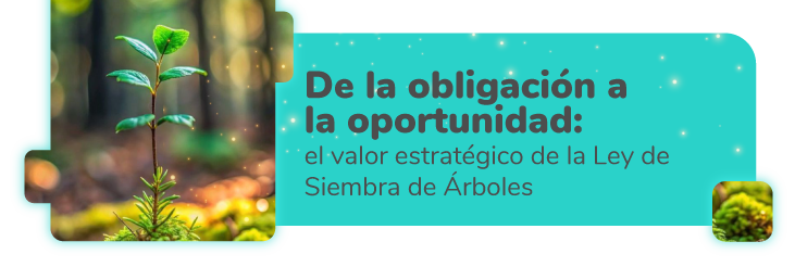 De la obligación a la oportunidad