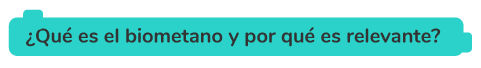 ¿Qué es el biometano y por qué es relevante?