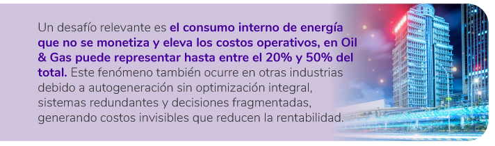 Desafío consumo interno de energía