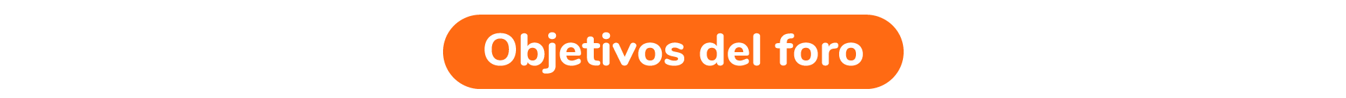 Objetivos del foro