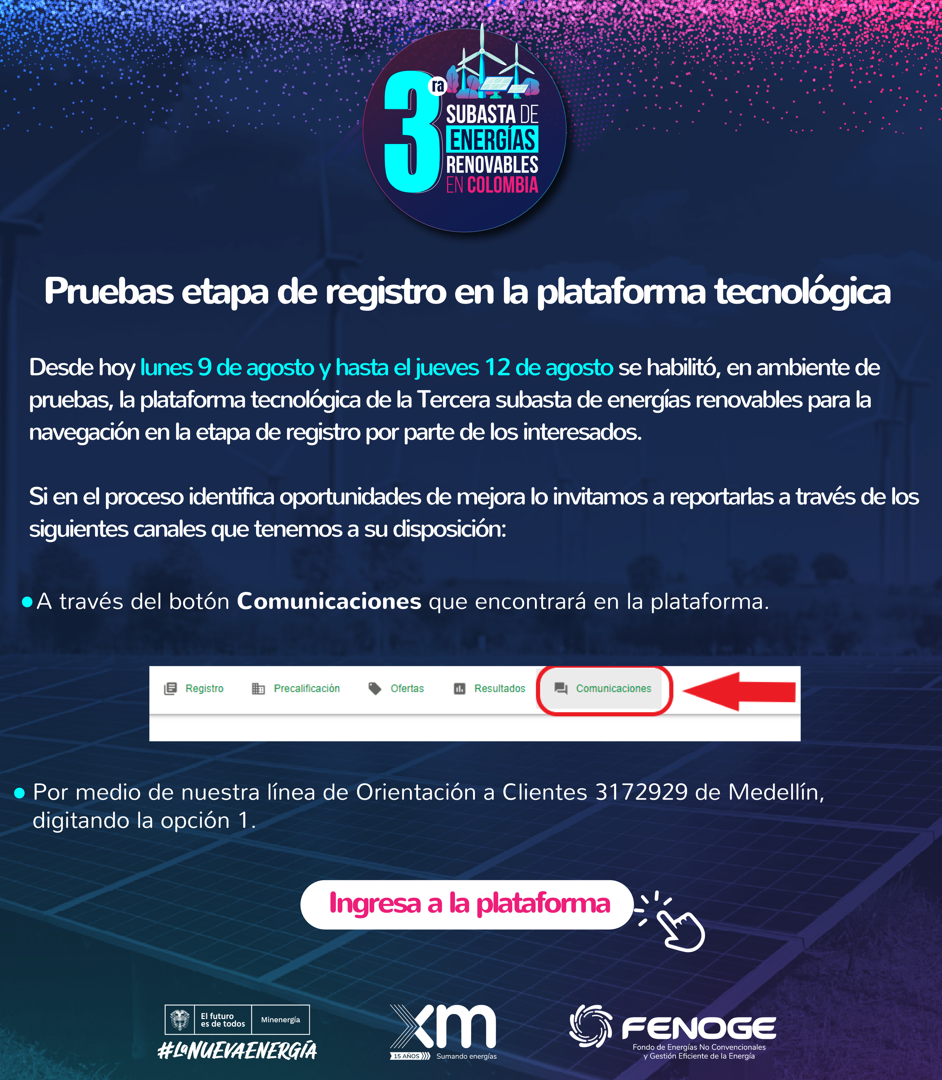 PIEZA RECURSOS SUBASTA