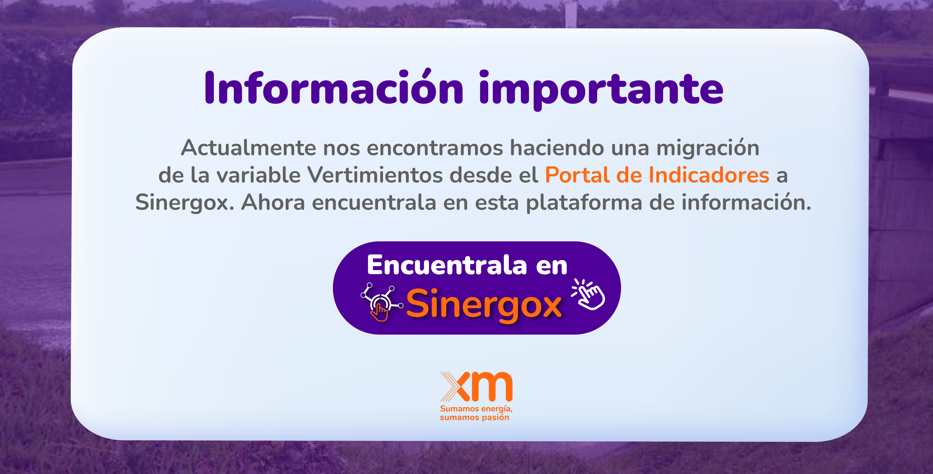 sinergox