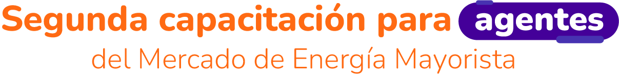 Segunda capacitación para agentes del Mercado de Energía Mayorista