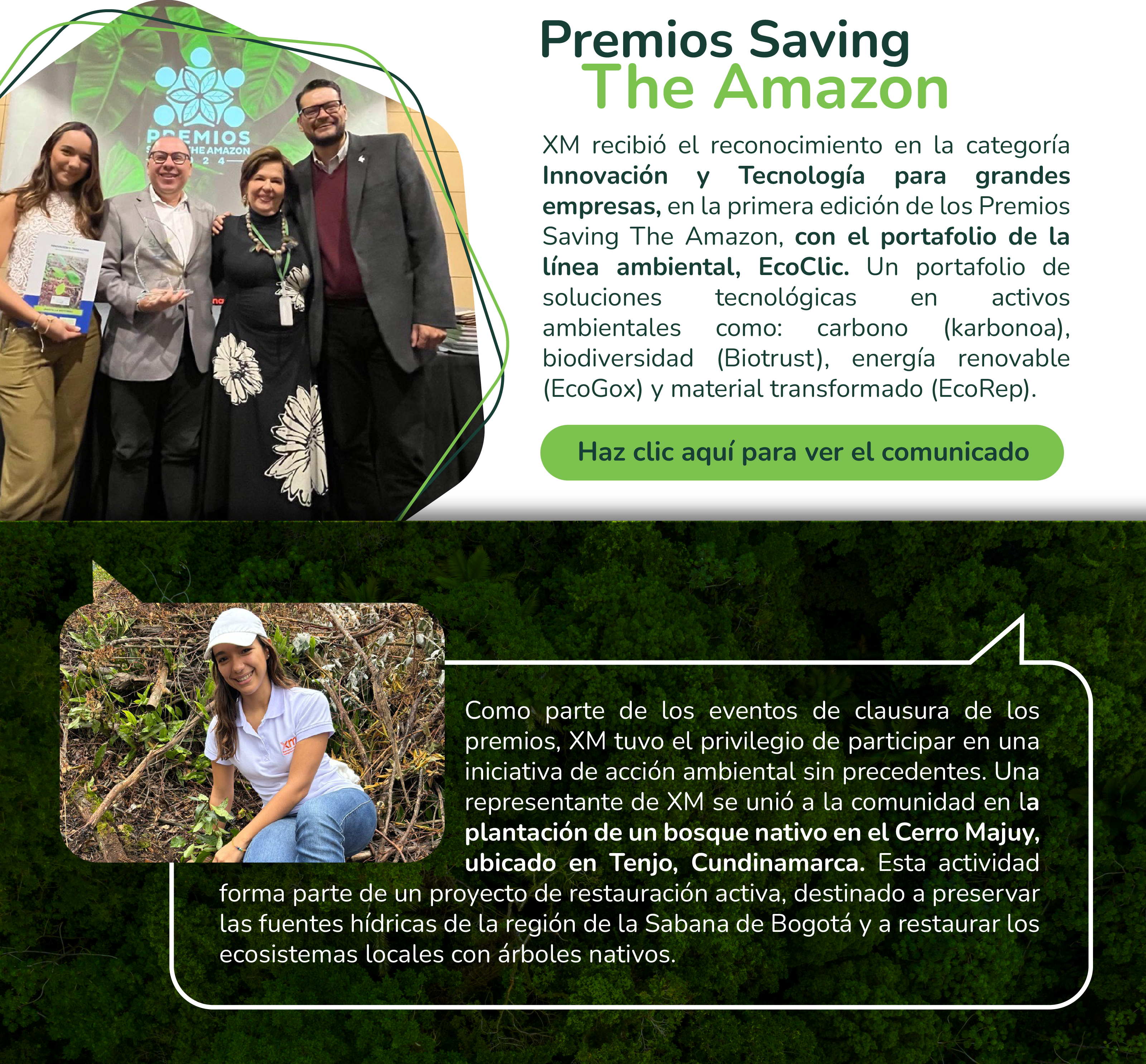 Premios Saving The Amazon