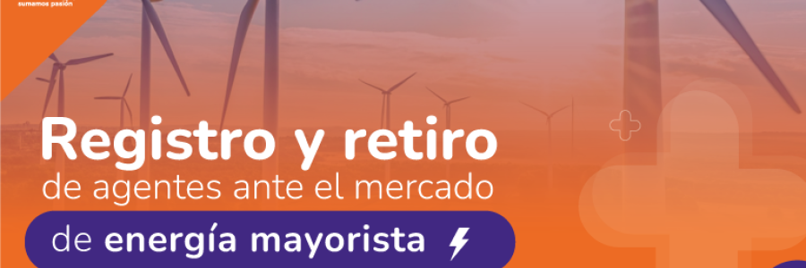 Registro y retiro de los agentes ante el mercado de energía mayorista