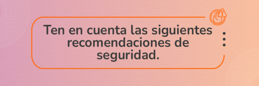 Ten en cuenta las siguientes recomendaciones de seguridad