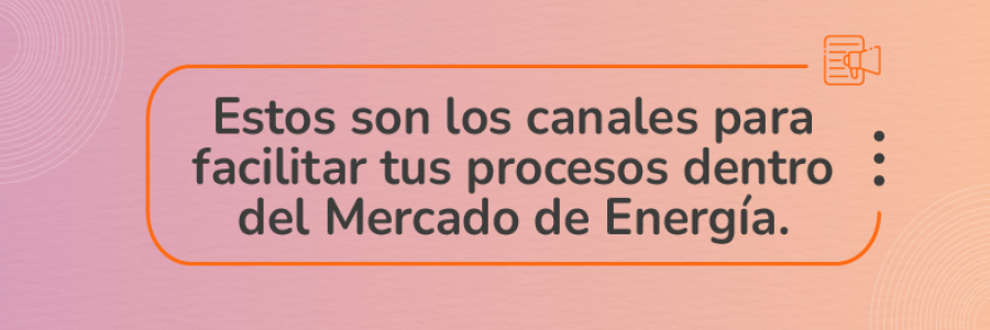 ¡Consulta información clave para gestionar tus procesos en el MEM! 