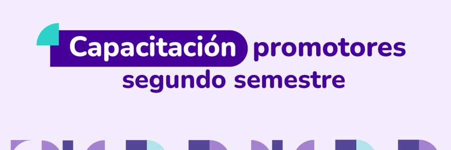 Capacitación Promotores segundo semestre 2025