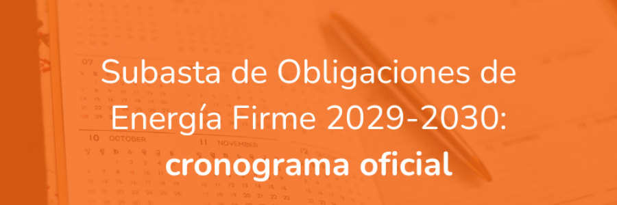 Subasta de obligaciones de energía firme 2029 - 2030