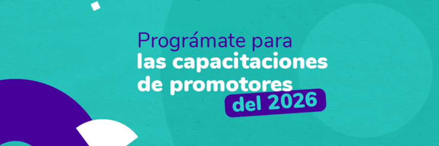 Miniaturas_Boletín Rutal al SIN_XM_V1-03