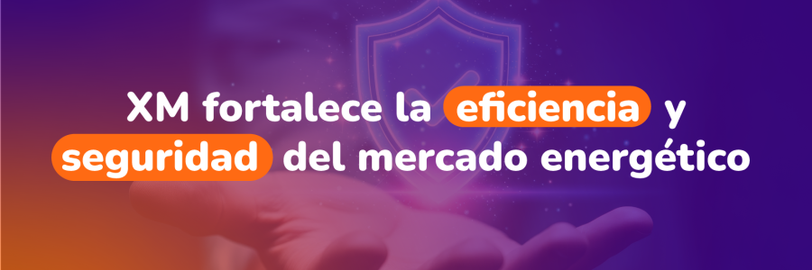 Miniaturas_Boletín en Movimiento_Xm_V2-04