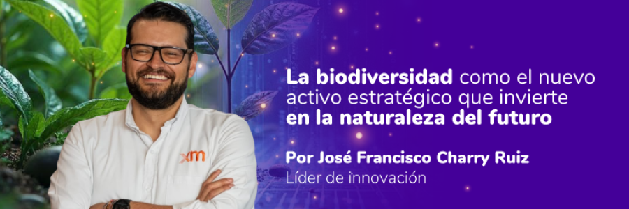 Newsletter Innovacion_Miniaturas_Junio_XM_V3_Editorial