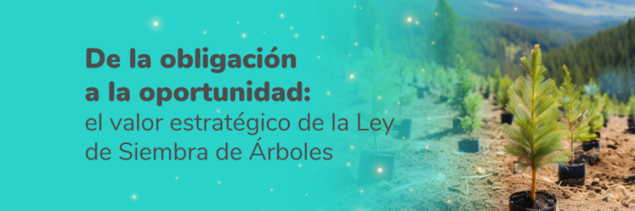Newsletter Innovacion_Miniaturas_Junio_XM_V3_Noticia 1