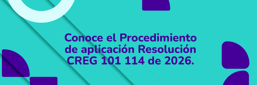 Miniaturas_Boletin Ruta al Sin Sep_Xm_V1-04.png