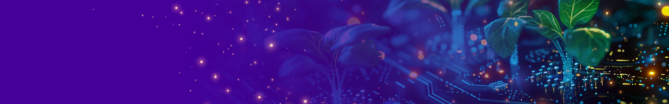 Banner_News Innovacion_Junio_XM_V2
