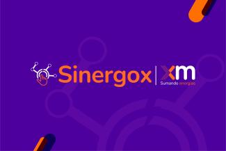 sinergox