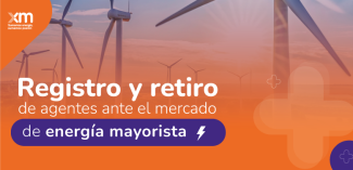 Registro y retiro de los agentes ante el mercado de energía mayorista