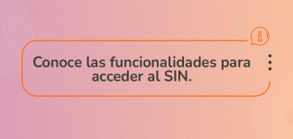 Conoce las funcionalidades para acceder al SIN