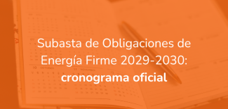 Subasta de obligaciones de energía firme 2029 - 2030