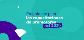 Miniaturas_Boletín Rutal al SIN_XM_V1-03