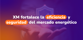 Miniaturas_Boletín en Movimiento_Xm_V2-04