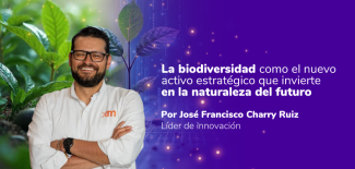 Newsletter Innovacion_Miniaturas_Junio_XM_V3_Editorial