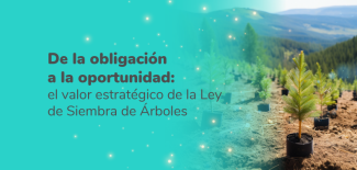 Newsletter Innovacion_Miniaturas_Junio_XM_V3_Noticia 1