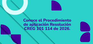 Miniaturas_Boletin Ruta al Sin Sep_Xm_V1-04.png